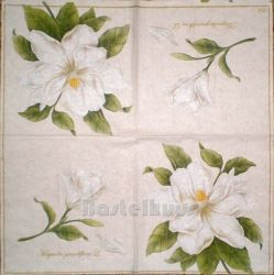 Cocktail - Magnolienblten 1/2